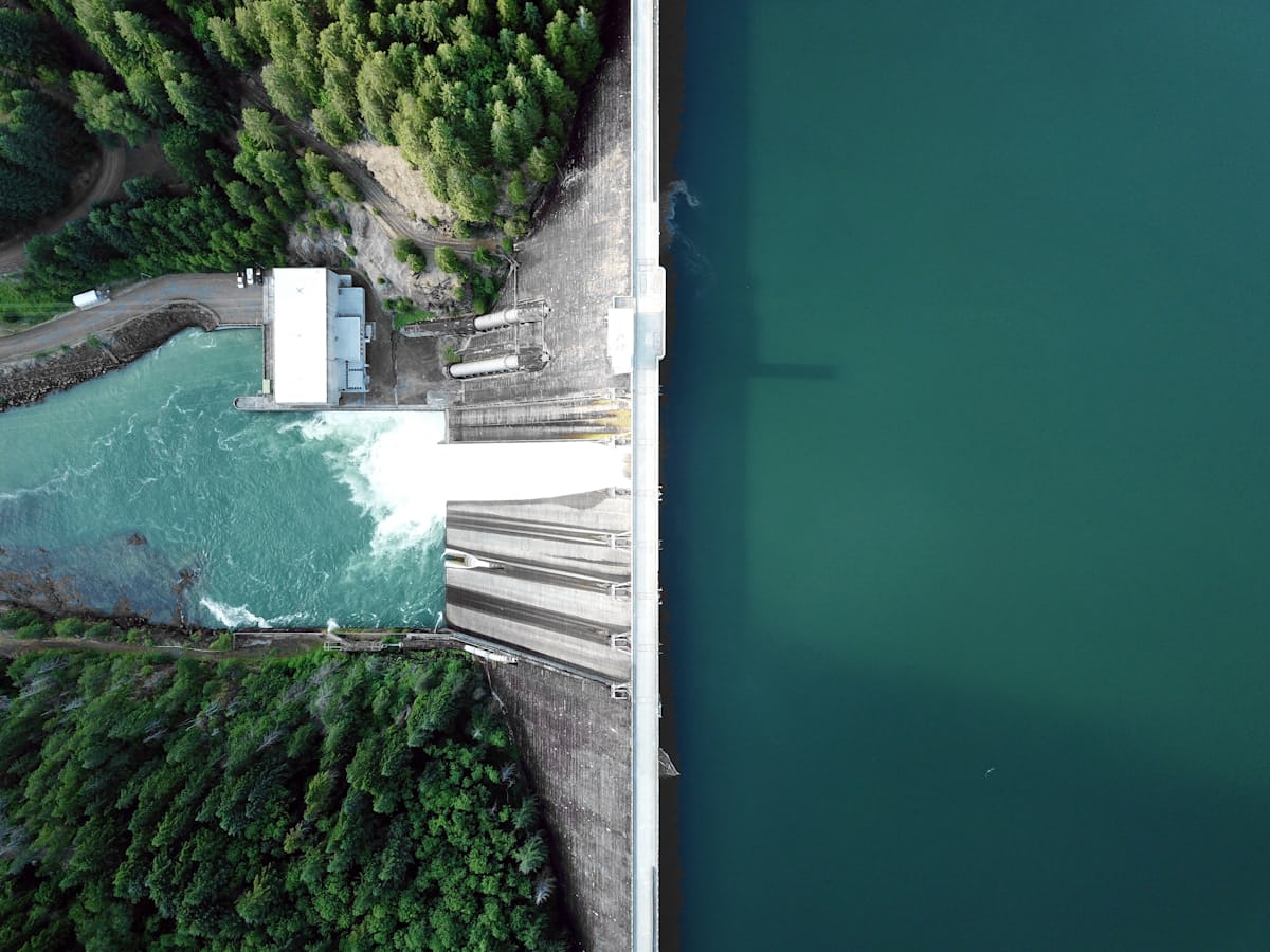 Lush Energy fleet electrification partnership